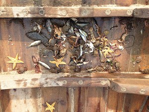 長(zhǎng)島建堂漁家樂(lè)