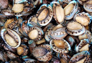 長島富華漁家樂