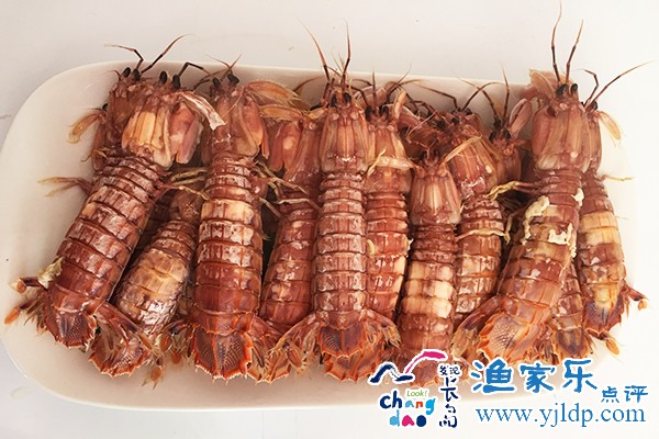 微信圖片_20170424161312