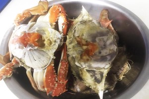 微信圖片_20170416141054