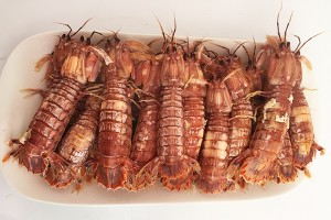 微信圖片_20170424161312