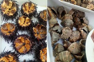 長(zhǎng)島漁樵燈火別墅