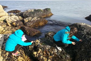 微信圖片_20170512142537