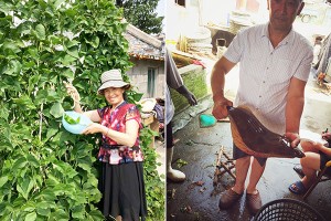 長島春和長漁家樂